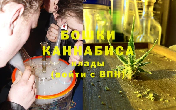 ПСИЛОЦИБИНОВЫЕ ГРИБЫ Алексеевка