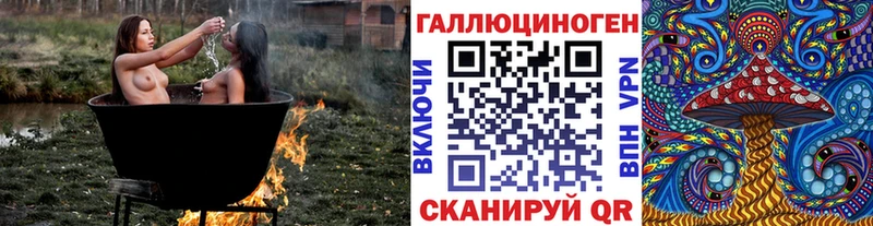 Псилоцибиновые грибы Cubensis  Томари 